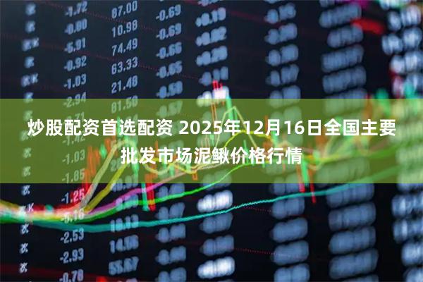 炒股配资首选配资 2025年12月16日全国主要批发市场泥鳅价格行情