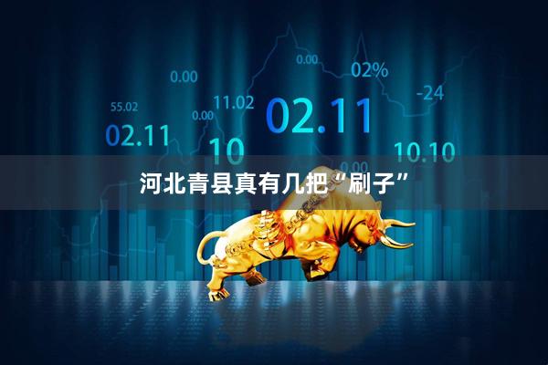 河北青县真有几把“刷子”
