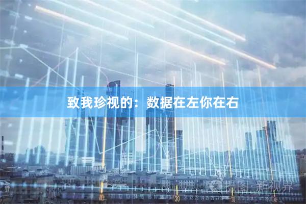 致我珍视的：数据在左你在右